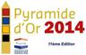 logo pyramide or 2014